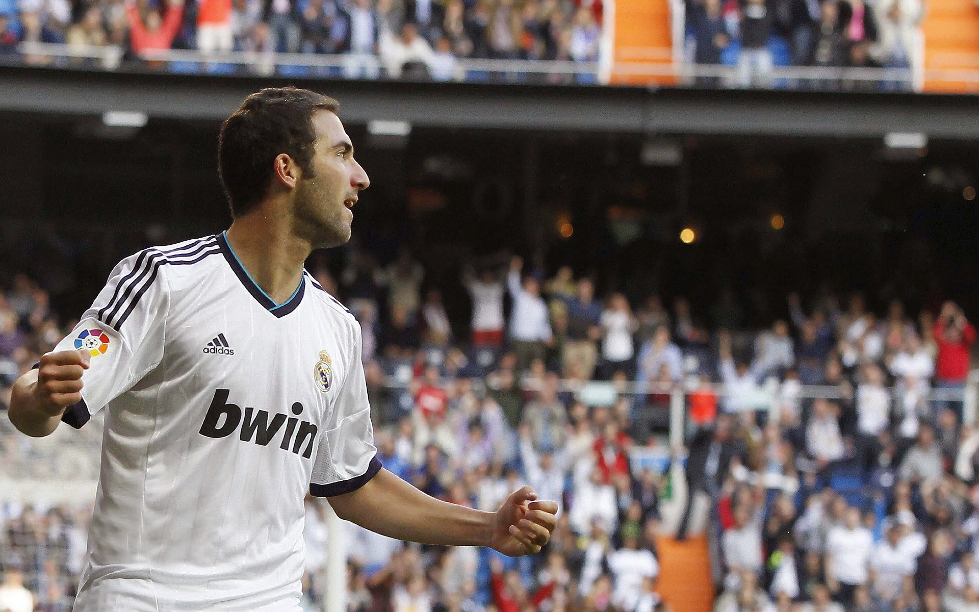 澳大利亚游泳队在奥运会中表现强劲